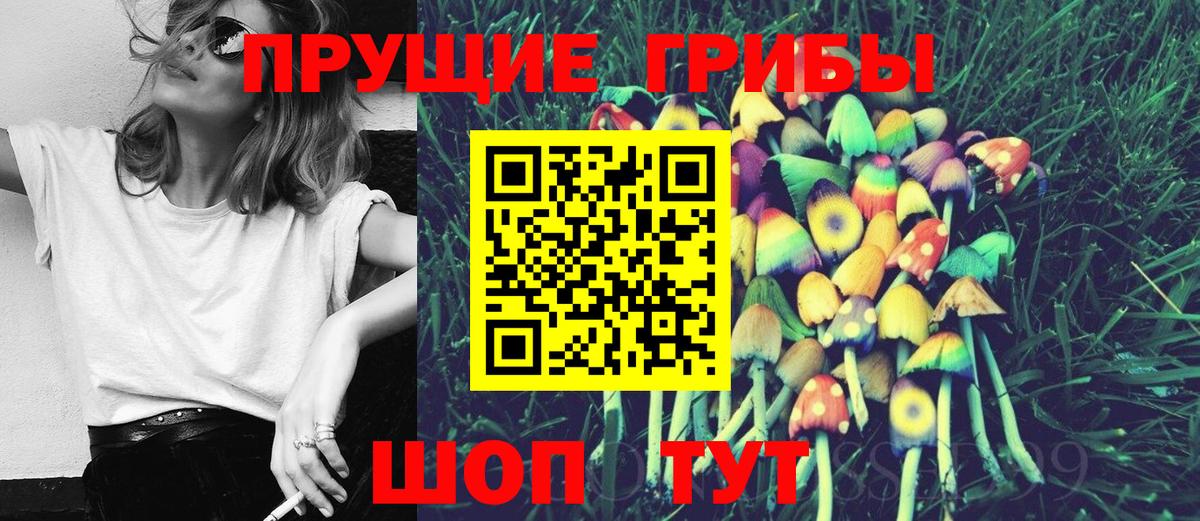 Псилоцибиновые грибы мицелий  Вход с VPN  Вязники 