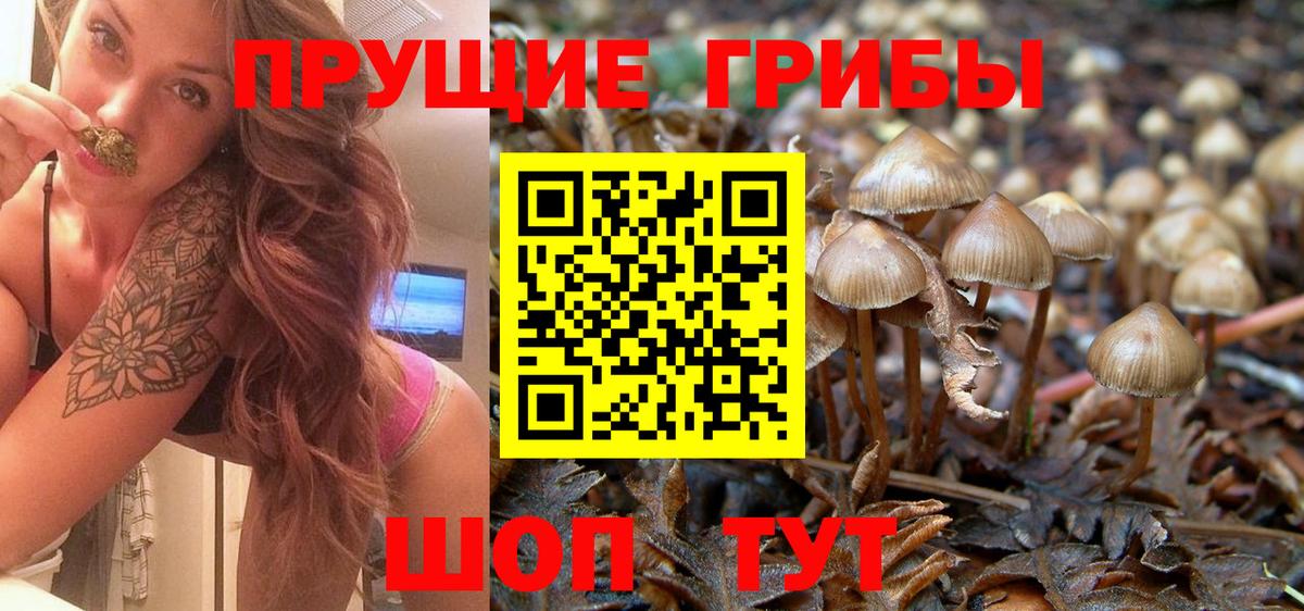 Псилоцибиновые грибы прущие грибы Вязники